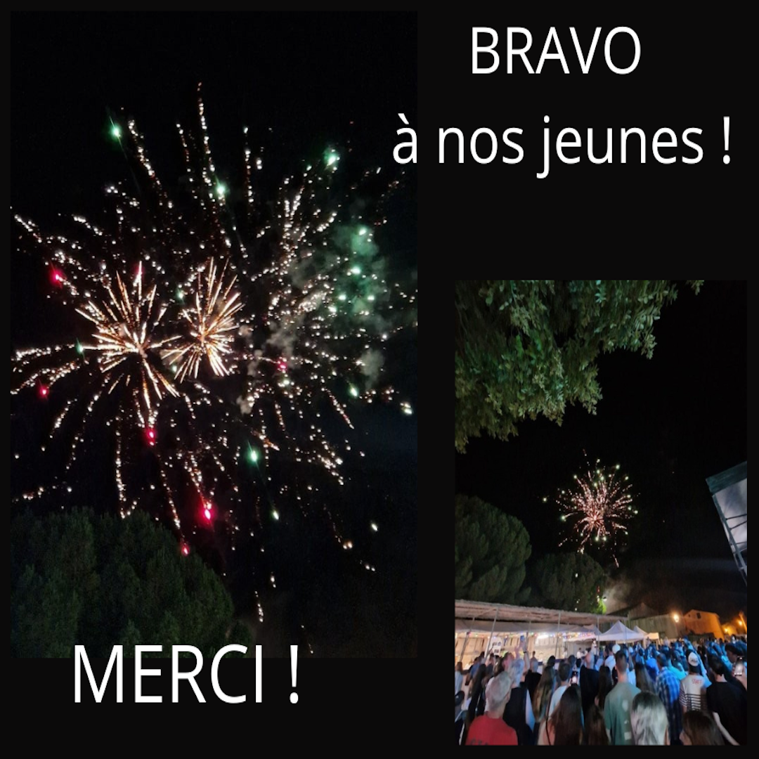 BRAVO copie